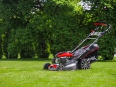 Wiosenne koszenie trawy a kondycja trawnika – o czym musisz pamiętać?