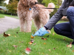 Mieszkańcy miast tego nie znoszą. Aż 65 proc. ludzi wskazuje jeden problem
