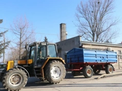 Wiosną ceny zbóż w skupach rosną