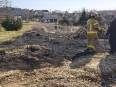Ogień, wiatr i 30 tysięcy złotych kary. Kosztowna lekcja wypalania traw w gminie Boguchwała