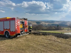 W tym roku wyższe kary za wypalanie traw