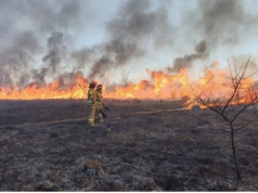 Uwaga rolnicy! Wypalanie traw może kosztować utratę dopłat