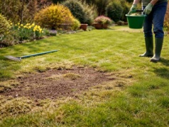 Jeśli nie zrobisz tego w marcu, będziesz mieć trawnik pełen łysych placków