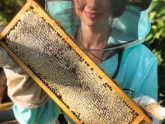 Pszczelara ambasadorką targów Expo2Bee. Autorka książki o pszczołach wystąpi w Kielcach