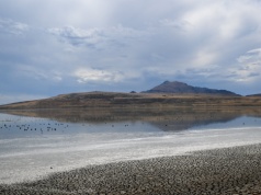 USA chcą napełnić wodą wysychające Wielkie Jezioro Słone. Plan na igrzyska
