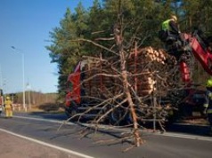 Drzewo spadło na ciężarówkę na DK11. Utrudnienia pod Jastrowiem