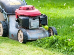 Polacy wciąż popełniają ten błąd podczas koszenia trawy. 500 zł kary to dopiero początek