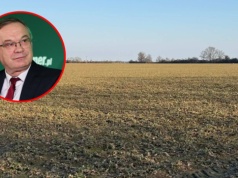 Prof. Szczepaniak: Oziminom brakuje wigoru. Zimna gleba i brak opadów hamują wiosenną regenerację i opóźniają działanie nawozów