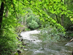 "Polska tajga" to najdziksze miejsce w kraju? Znalezienie drogi graniczy z cudem