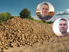 „Z buraka zniknęło mi 700 tys. zł”. Rolnicy alarmują o cenach