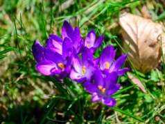 Pogoda na weekend | Bardzo wiosennie, ale z przelotnymi opadami deszczu