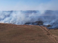 Duży pożar na Mazowszu. Walka z ogniem trwa już kilka godzin