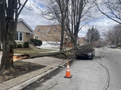 Szacowanie szkód po wyjątkowo wietrznym piątku w Chicago