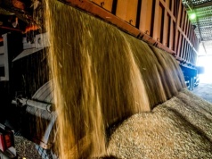 Resort rolnictwa chce jednocześnie zwiększyć rezerwy i eksport zboża