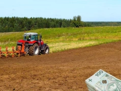 Ile kosztuje ziemia V i VI klasy? Sprawdzamy aktualne ceny