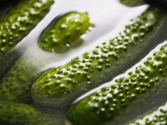 Zrób to przed kiszeniem ogórków. Różnica jest ogromna