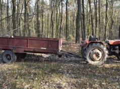 Śmiertelny wypadek przy wycince drzew. Zginął mężczyzna