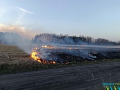 Pożar pozostałości po kukurydzy w Chojnym. W akcji trzy zastępy OSP