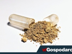 Czy warto przyjmować ashwagandhę na wsparcie tarczycy?