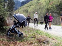 Psiecko, a sprawa polska. Czy rzeczywiście zwierzęta zniechęcają do posiadania dzieci?