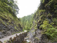 Dzika przyroda blisko Zakopanego. Idealna trasa na wędrówkę całą rodziną