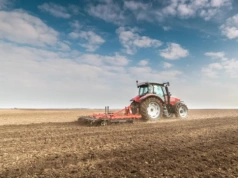 Na Dolnym Śląsku wiosenna orka zakończyła się odkryciem bardzo cennego skarbu