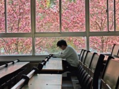 Polacy się wypowiedzieli. Mówią jasno o edukacji