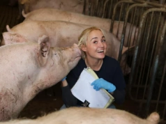 Lochy w dobrej kondycji to nie przypadek. Ten „trik” decyduje o prosiętach, mleku i długości użytkowania