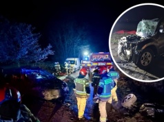 Samochód uderzył w drzewo w powiecie strzeleckim. 16-latek zginął na miejscu