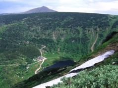 Rośnie tylko w trzech miejscach w Polsce. To gatunek prawie endemiczny