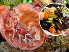 To jedne z najzdrowszych grzybów na świecie. Zrywam je z gałęzi i pni, a potem robię "chińszczyznę"