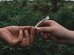 Ile nielegalnej substancji to „nieznaczna” ilość? Wyjaśniamy, czym jest tabela wartości granicznych