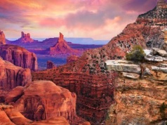 W parkach narodowych USA mogą zapytać o obywatelstwo