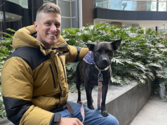 Gość z Australii opracował z ChatGPT szczepionkę na raka dla swojego psa