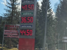 Paliwo po obu stronach granicy. Czy kierowcom opłaca się tankować w Czechach?