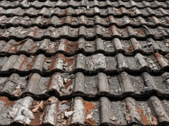 Rolnicy mogą nie zdążyć z wymianą dachów z azbestem. Samorząd rolniczy apeluje o więcej czasu