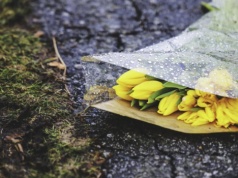 Pogoda na poniedziałek | Chłodniej i deszczowo