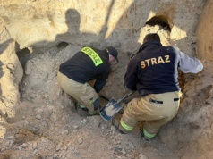 Pies wszedł do lisiej nory. Aby go wyciągnąć, trzeba było użyć koparki