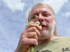 Nie każda roślina z lasu jest bezpieczna. Prof. Łuczaj: zwykłe konwalie są śmiertelnie trujące