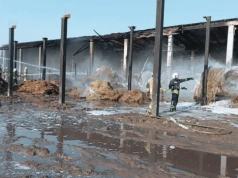 W jednej chwili stracił kilkadziesiąt sztuk bydła. Pożar obory na Podlasiu