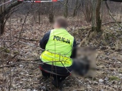 Ciało młodego mężczyzny znalezione w lesie. Makabrycznego odkrycia dokonał spacerowicz