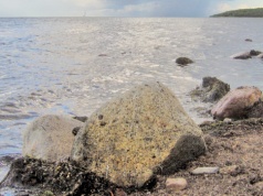 Tragiczne odkrycie w Zatoce Puckiej. Znaleziono ciało mężczyzny