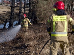 To był pracowity weekend strażaków. Płonęły trawy i lasy