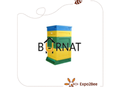 Burnat – rodzinne doświadczenie i nowoczesna technologia w służbie pszczelarstwa