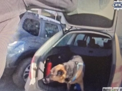 Zostawił psa w aucie po nocnej zmianie. Interweniowali policjanci