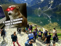 TPN zatrudnił "cyber rangera", ma ścigać tych, którzy niszczą przyrodę i chwalą się tym na Instagramie