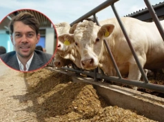 Kołodziejczak bagatelizuje import wołowiny. Rolnicy: to uderzy w ceny bydła