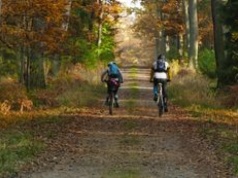 Poznaj 5 rowerów trekkingowych gotowych na każdą trasę