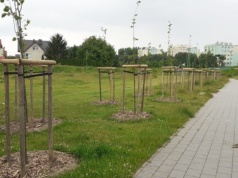 Zieleń w mieście staje się priorytetem. Tczewianie zgłosili osiem projektów zielonych do budżetu obywatelskiego