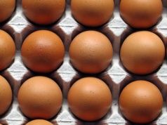 Do Polski miało wjechać 600 tys. podejrzanych jaj z Ukrainy